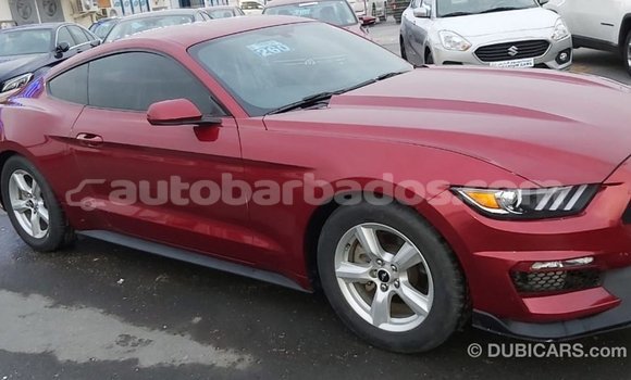 Buy Import Ford Mustang Red Car in Import - Dubai in Barbados Buy Import Ford Mustang Red Car in Import - Dubai in Barbados