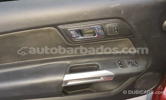 Buy Import Ford Mustang Red Car in Import - Dubai in Barbados Buy Import Ford Mustang Red Car in Import - Dubai in Barbados