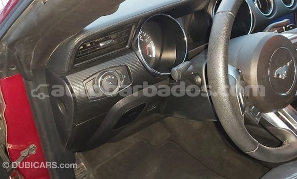 Buy Import Ford Mustang Red Car in Import - Dubai in Barbados Buy Import Ford Mustang Red Car in Import - Dubai in Barbados