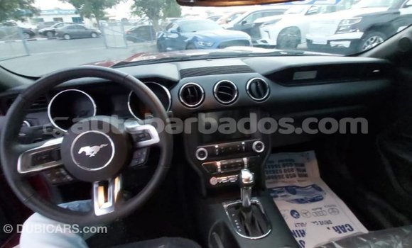 Buy Import Ford Mustang Red Car in Import - Dubai in Barbados Buy Import Ford Mustang Red Car in Import - Dubai in Barbados