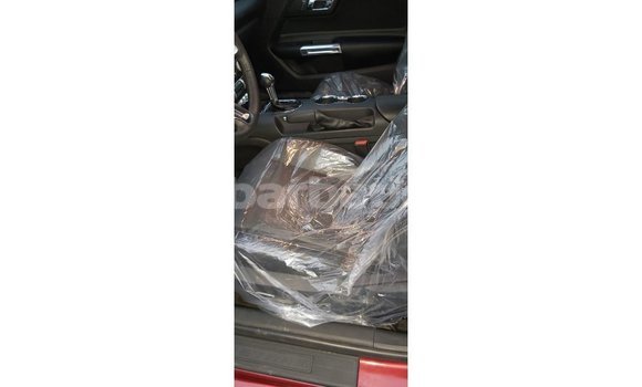Buy Import Ford Mustang Red Car in Import - Dubai in Barbados Buy Import Ford Mustang Red Car in Import - Dubai in Barbados