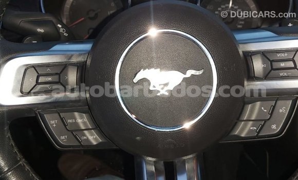 Buy Import Ford Mustang Red Car in Import - Dubai in Barbados Buy Import Ford Mustang Red Car in Import - Dubai in Barbados