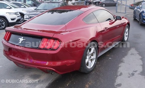 Buy Import Ford Mustang Red Car in Import - Dubai in Barbados Buy Import Ford Mustang Red Car in Import - Dubai in Barbados