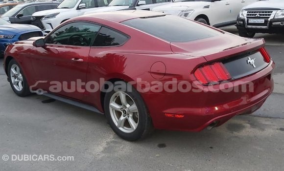Buy Import Ford Mustang Red Car in Import - Dubai in Barbados Buy Import Ford Mustang Red Car in Import - Dubai in Barbados