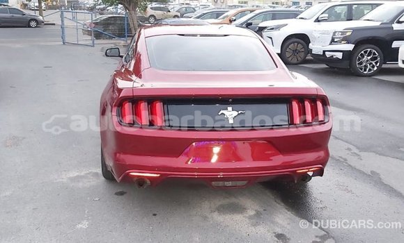 Buy Import Ford Mustang Red Car in Import - Dubai in Barbados Buy Import Ford Mustang Red Car in Import - Dubai in Barbados