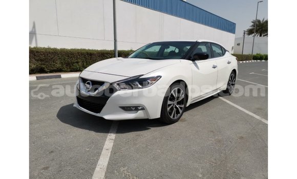 Buy Import Nissan Maxima White Car in Import - Dubai in Barbados Buy Import Nissan Maxima White Car in Import - Dubai in Barbados