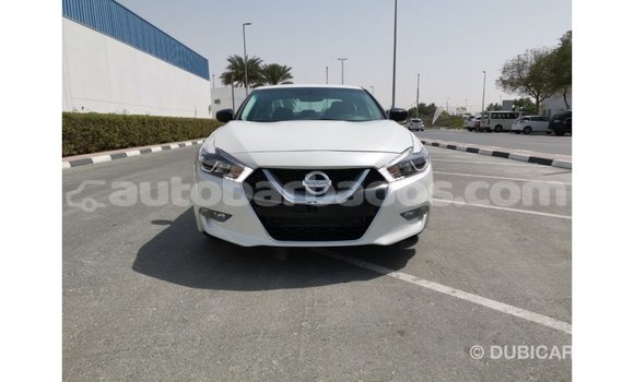 Buy Import Nissan Maxima White Car in Import - Dubai in Barbados Buy Import Nissan Maxima White Car in Import - Dubai in Barbados