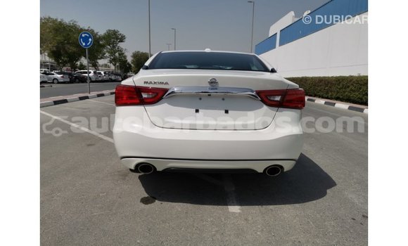 Buy Import Nissan Maxima White Car in Import - Dubai in Barbados Buy Import Nissan Maxima White Car in Import - Dubai in Barbados