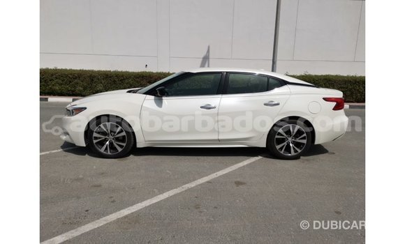 Buy Import Nissan Maxima White Car in Import - Dubai in Barbados Buy Import Nissan Maxima White Car in Import - Dubai in Barbados