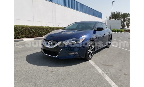 Buy Import Nissan Maxima Blue Car in Import - Dubai in Barbados Buy Import Nissan Maxima Blue Car in Import - Dubai in Barbados