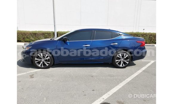 Buy Import Nissan Maxima Blue Car in Import - Dubai in Barbados Buy Import Nissan Maxima Blue Car in Import - Dubai in Barbados