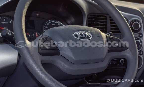 Buy Import Kia Rio White Car in Import - Dubai in Barbados Buy Import Kia Rio White Car in Import - Dubai in Barbados