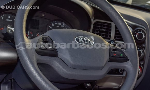 Buy Import Kia K3 White Car in Import - Dubai in Barbados Buy Import Kia K3 White Car in Import - Dubai in Barbados