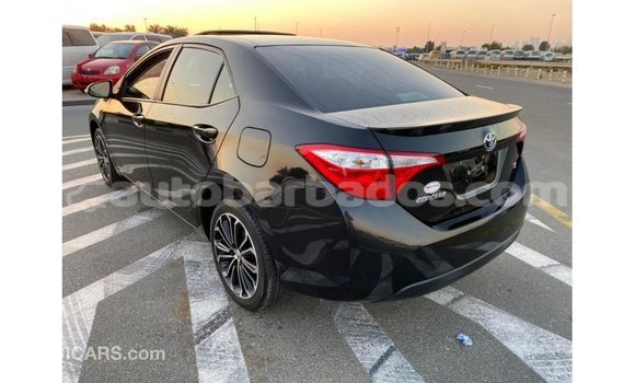 Buy Import Toyota Corolla Black Car in Import - Dubai in Barbados Buy Import Toyota Corolla Black Car in Import - Dubai in Barbados