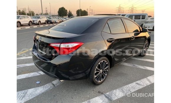 Buy Import Toyota Corolla Black Car in Import - Dubai in Barbados Buy Import Toyota Corolla Black Car in Import - Dubai in Barbados