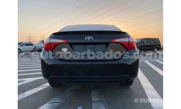 Buy Import Toyota Corolla Black Car in Import - Dubai in Barbados Buy Import Toyota Corolla Black Car in Import - Dubai in Barbados