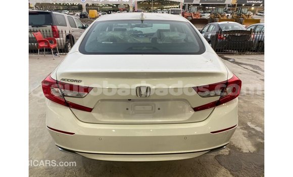 Buy Import Honda Accord White Car in Import - Dubai in Barbados Buy Import Honda Accord White Car in Import - Dubai in Barbados