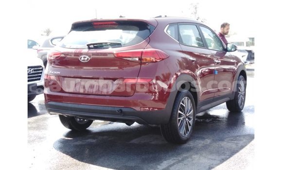 Buy Import Hyundai Tucson Red Car in Import - Dubai in Barbados Buy Import Hyundai Tucson Red Car in Import - Dubai in Barbados