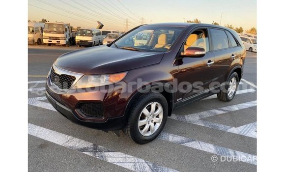 Buy Import Kia Sorento Brown Car in Import - Dubai in Barbados Buy Import Kia Sorento Brown Car in Import - Dubai in Barbados