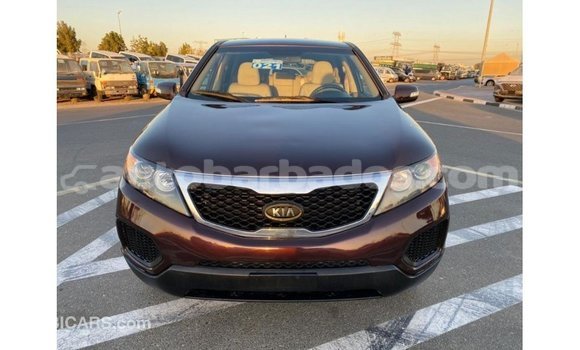 Buy Import Kia Sorento Brown Car in Import - Dubai in Barbados Buy Import Kia Sorento Brown Car in Import - Dubai in Barbados