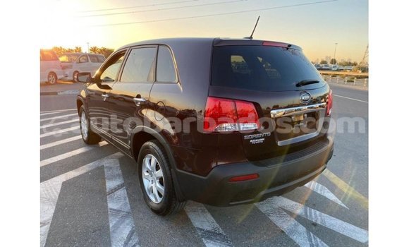 Buy Import Kia Sorento Brown Car in Import - Dubai in Barbados Buy Import Kia Sorento Brown Car in Import - Dubai in Barbados
