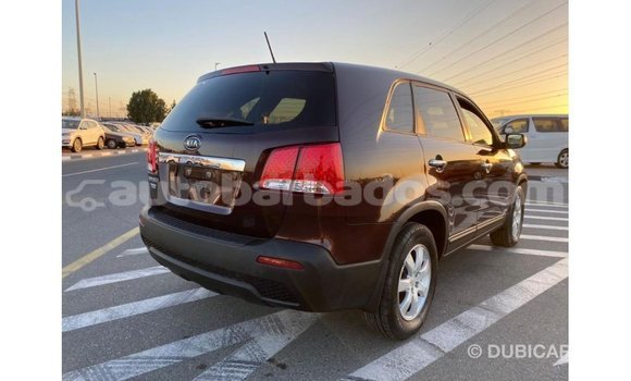 Buy Import Kia Sorento Brown Car in Import - Dubai in Barbados Buy Import Kia Sorento Brown Car in Import - Dubai in Barbados