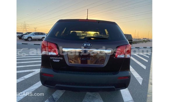 Buy Import Kia Sorento Brown Car in Import - Dubai in Barbados Buy Import Kia Sorento Brown Car in Import - Dubai in Barbados