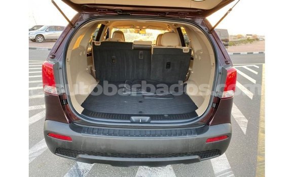 Buy Import Kia Sorento Brown Car in Import - Dubai in Barbados Buy Import Kia Sorento Brown Car in Import - Dubai in Barbados