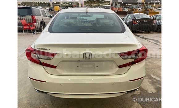 Buy Import Honda Accord White Car in Import - Dubai in Barbados Buy Import Honda Accord White Car in Import - Dubai in Barbados