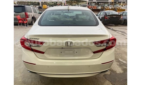 Buy Import Honda Accord White Car in Import - Dubai in Barbados Buy Import Honda Accord White Car in Import - Dubai in Barbados
