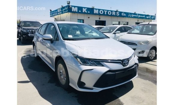 Buy Import Toyota Corolla White Car in Import - Dubai in Barbados Buy Import Toyota Corolla White Car in Import - Dubai in Barbados