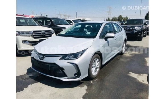 Buy Import Toyota Corolla White Car in Import - Dubai in Barbados Buy Import Toyota Corolla White Car in Import - Dubai in Barbados