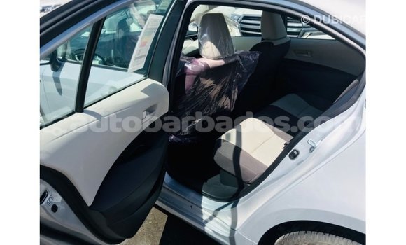 Buy Import Toyota Corolla White Car in Import - Dubai in Barbados Buy Import Toyota Corolla White Car in Import - Dubai in Barbados