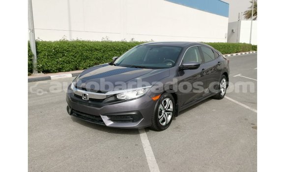 Buy Import Honda Civic Other Car in Import - Dubai in Barbados