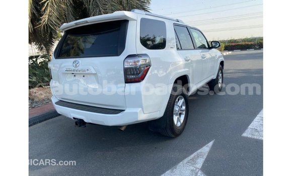 Buy Import Toyota HiAce White Truck in Import - Dubai in Barbados Buy Import Toyota HiAce White Truck in Import - Dubai in Barbados