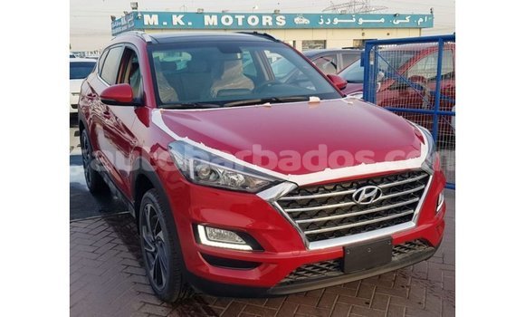 Buy Import Hyundai Tucson Red Car in Import - Dubai in Barbados Buy Import Hyundai Tucson Red Car in Import - Dubai in Barbados