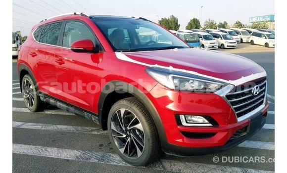 Buy Import Hyundai Tucson Red Car in Import - Dubai in Barbados Buy Import Hyundai Tucson Red Car in Import - Dubai in Barbados