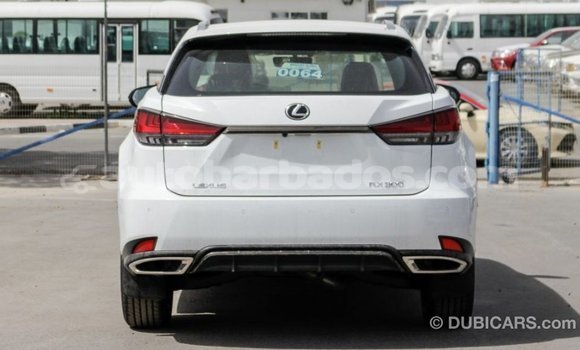 Buy Import Lexus RX 300 White Car in Import - Dubai in Barbados Buy Import Lexus RX 300 White Car in Import - Dubai in Barbados