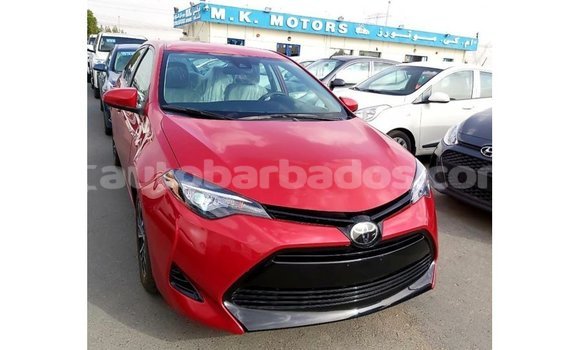 Buy Import Toyota Corolla Red Car in Import - Dubai in Barbados Buy Import Toyota Corolla Red Car in Import - Dubai in Barbados