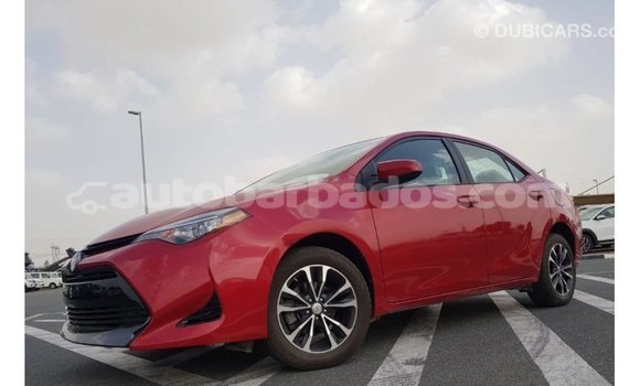 Buy Import Toyota Corolla Red Car in Import - Dubai in Barbados Buy Import Toyota Corolla Red Car in Import - Dubai in Barbados
