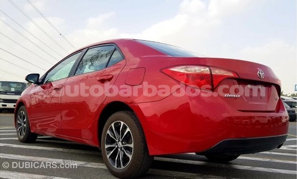 Buy Import Toyota Corolla Red Car in Import - Dubai in Barbados Buy Import Toyota Corolla Red Car in Import - Dubai in Barbados
