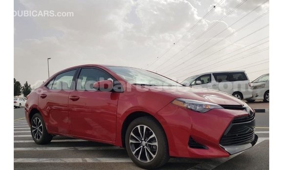 Buy Import Toyota Corolla Red Car in Import - Dubai in Barbados Buy Import Toyota Corolla Red Car in Import - Dubai in Barbados