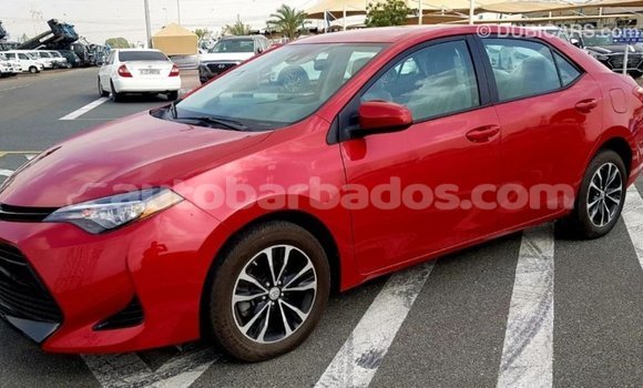 Buy Import Toyota Corolla Red Car in Import - Dubai in Barbados Buy Import Toyota Corolla Red Car in Import - Dubai in Barbados