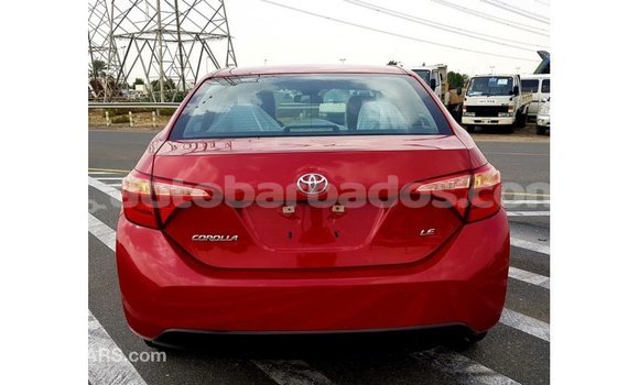 Buy Import Toyota Corolla Red Car in Import - Dubai in Barbados Buy Import Toyota Corolla Red Car in Import - Dubai in Barbados