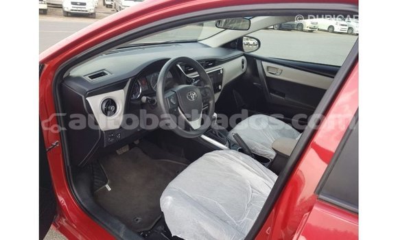 Buy Import Toyota Corolla Red Car in Import - Dubai in Barbados Buy Import Toyota Corolla Red Car in Import - Dubai in Barbados
