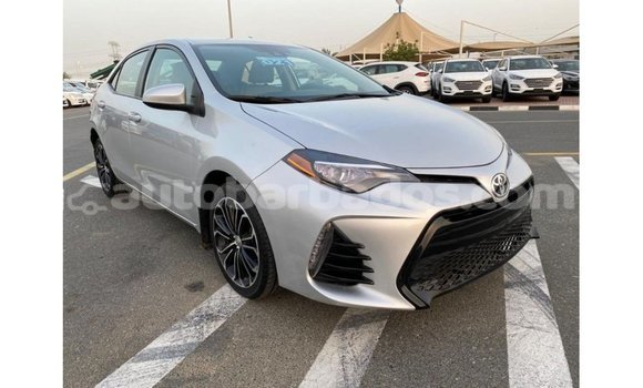 Buy Import Toyota Corolla Other Car in Import - Dubai in Barbados Buy Import Toyota Corolla Other Car in Import - Dubai in Barbados