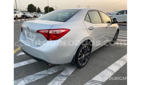 Buy Import Toyota Corolla Other Car in Import - Dubai in Barbados Buy Import Toyota Corolla Other Car in Import - Dubai in Barbados