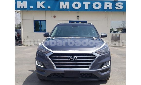Buy Import Hyundai Tucson Other Car in Import - Dubai in Barbados Buy Import Hyundai Tucson Other Car in Import - Dubai in Barbados