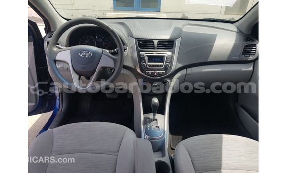 Buy Import Hyundai Accent Blue Car in Import - Dubai in Barbados Buy Import Hyundai Accent Blue Car in Import - Dubai in Barbados