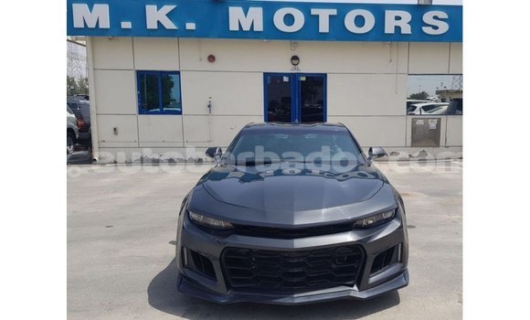 Buy Import Chevrolet Camaro Other Car in Import - Dubai in Barbados